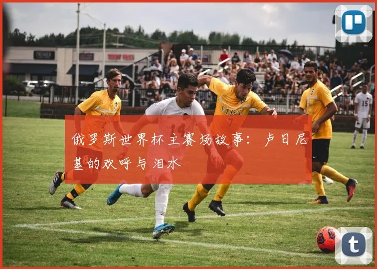 俄罗斯世界杯主赛场故事:卢日尼基的欢呼与泪水