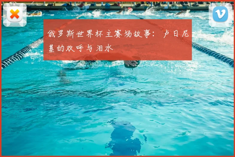 俄罗斯世界杯主赛场故事:卢日尼基的欢呼与泪水
